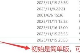 蓝色警戒联机怎么和队友共享视野，以下是详细的解决方案